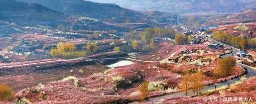 山东发展最慢的一个县，穷的一塌糊涂