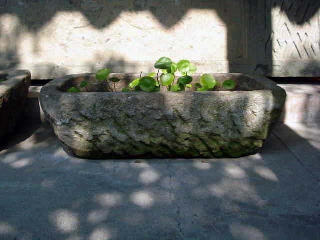 城里人咋想的？专从农村收购老物件，300斤猪槽也要买了放院子里