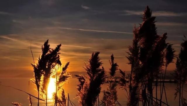 夕阳西下，日落摄影的13个构图技巧，你懂了吗？