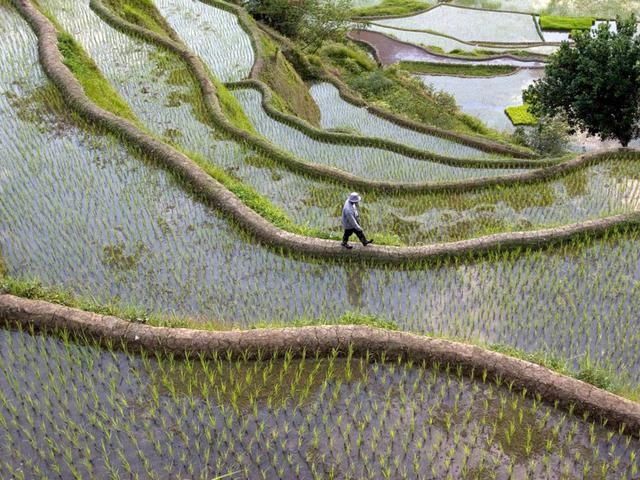 寻找菲律宾的“翡翠”梯田