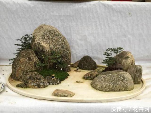什么盆景最火？莫过于山水盆景，这3种形式最具观赏性！