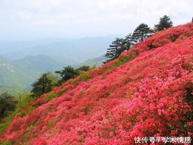 湖北即将开通的通用机场，不在武汉也不在襄阳，却在一座贫困县