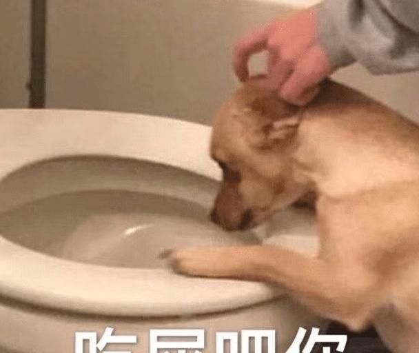  『玩游戏』有Doinb教玩游戏什么感受？糖小幽说出实情，连LOL官博都酸了