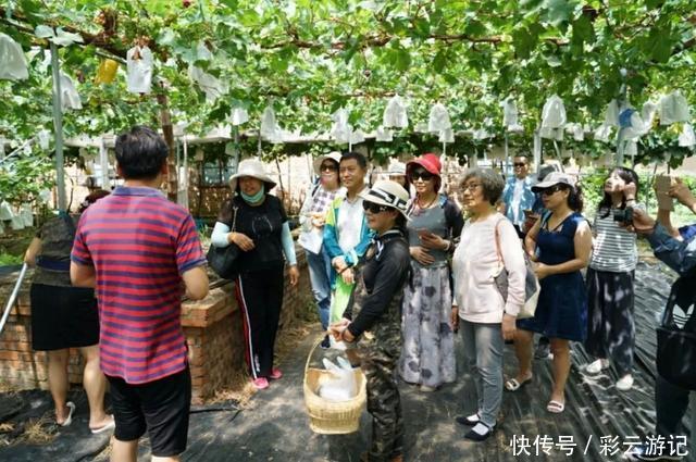 大理的小院生活｜一方土地，一群朋友，在这里过上田园牧歌的日子