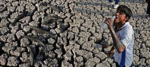 印度科学家计划“移动”喜马拉雅山脉, 以此解决高温问题