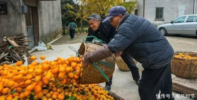#攻略#中国内湖第一岛苏州洞庭西山岛旅行攻略