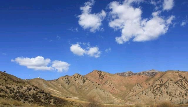  「承包」在农村，想知道荒山是否被人承包，只须看一物就能证实