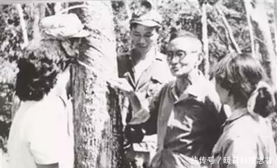  祖国■60多年前，一中国人冒生命危险将种子带回祖国，造就中国