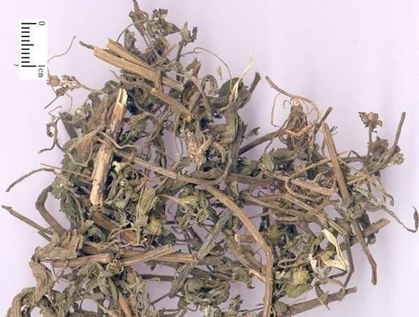  农村：农村这常见野草，农民称它天然黑发剂，殊不知价值珍贵，